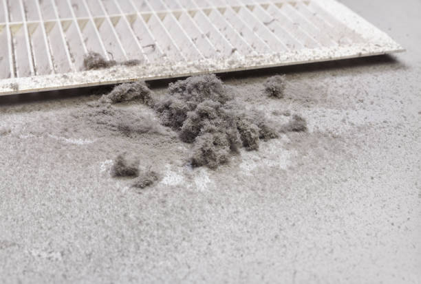 Best Emergency Air Duct Cleaning  in Greenback, TN
