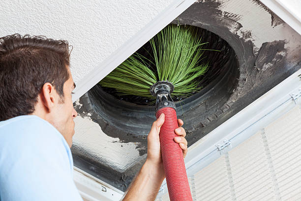 Best Air Duct Cleaning Near Me  in Greenback, TN