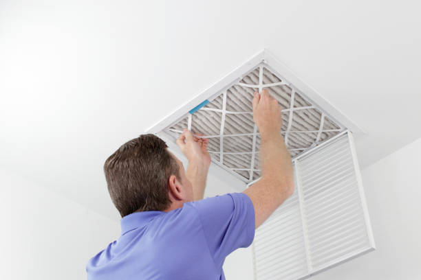 Best Ductwork Cleaning Services  in Greenback, TN
